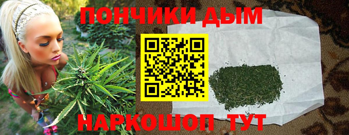 Шишки марихуана планчик  Вход с VPN  Темрюк  Шишки марихуана Bruce Banner 